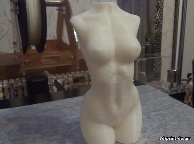 3D-модель "Женский торс"