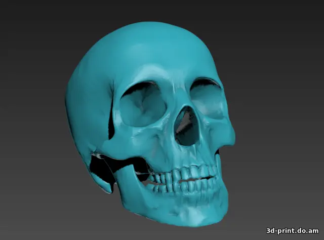 3D-модель "Череп Йорика"