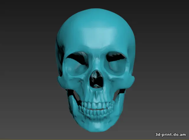 3D-модель "Череп Йорика"