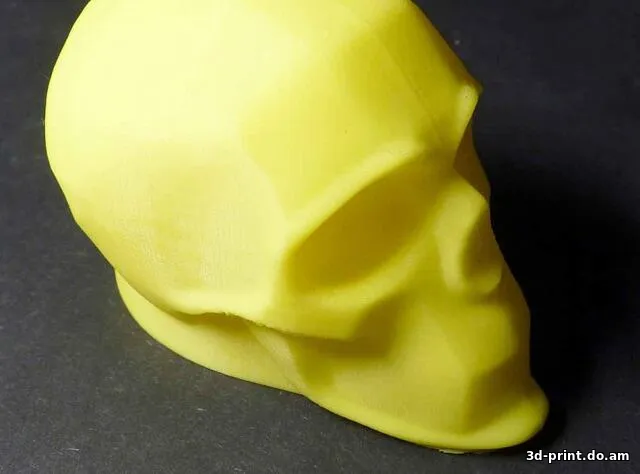 3D-модель "Череп Bammes"