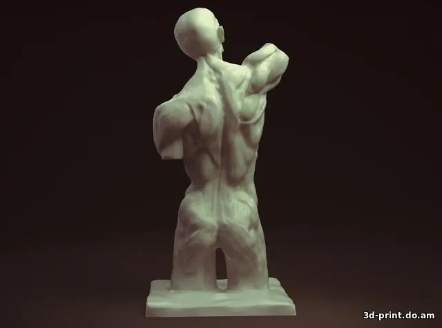 3D-модель "Скульптура, Мюнхенский торс"