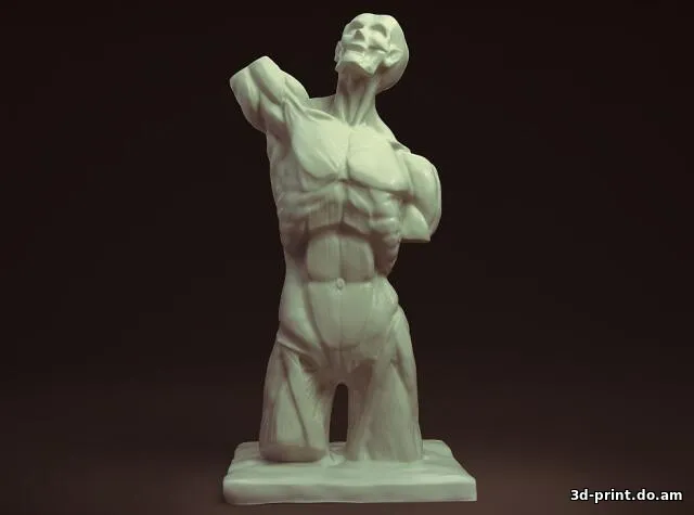 3D-модель "Скульптура, Мюнхенский торс"