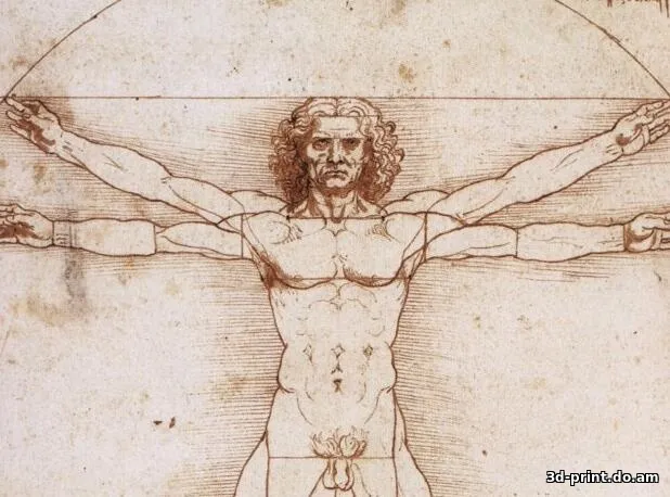 3D-модель "Витрувианский человек Да Винчи"