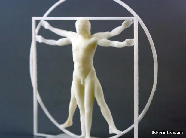 3D-модель "Витрувианский человек Да Винчи"