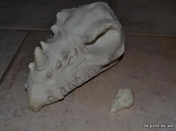 3D-модель "Череп дракона"