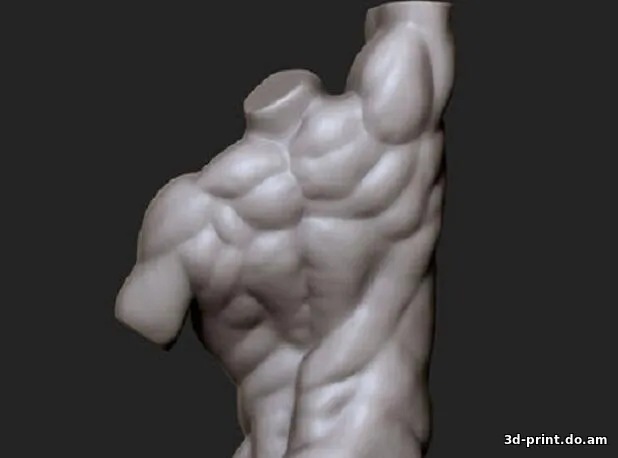 3D-модель "Тело Аполлона"