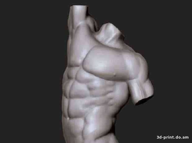 3D-модель "Тело Аполлона"