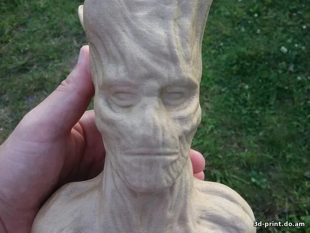 3D-модель "Бюст Грут"