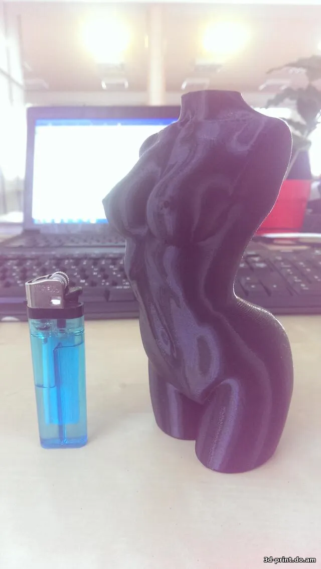 3D-модель "Бюст незнакомки" 3D-модель "Бюст незнакомки"