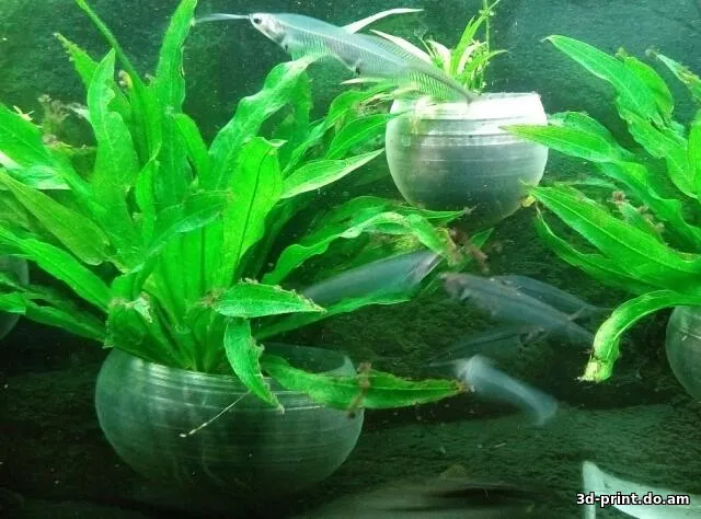 3D-модель "Горшки под растения в аквариум"
