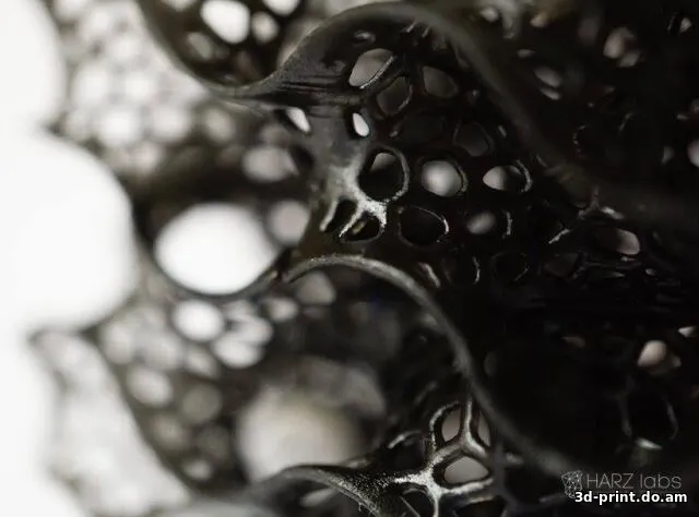 3D-модель "Вороной героид"