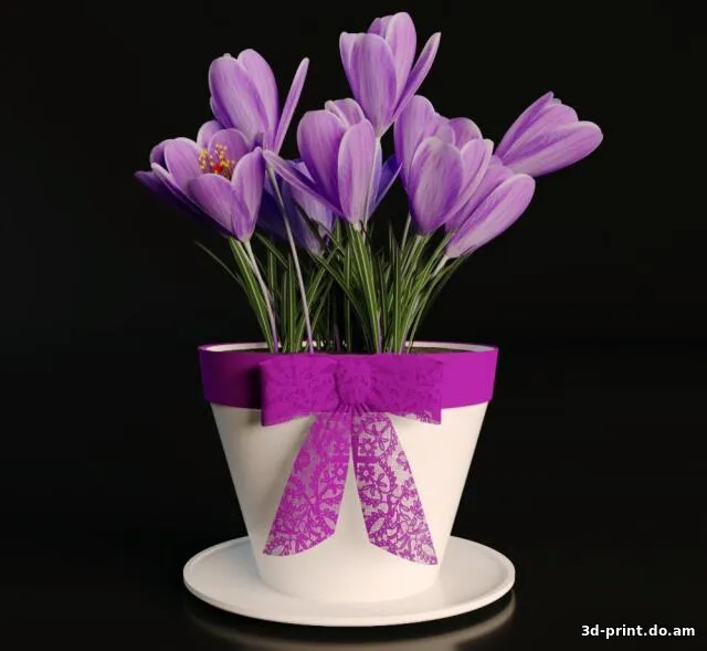 3D-модель "Крокус, цветок в горшке"