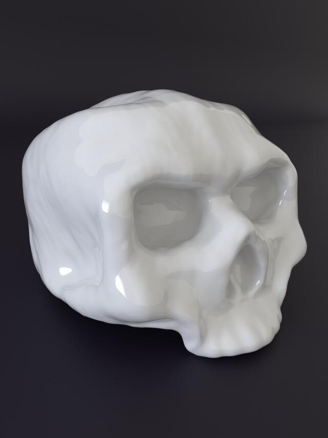 3D-модель "Череп неизвестного существа"