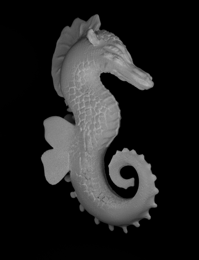 3D-модель "Морской конёк"