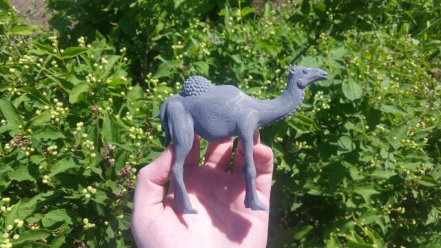3D-модель "Верблюд барельеф"
