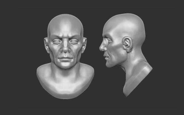 3D-модель "Лысая голова мужская V1"