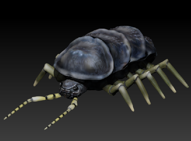 3D-модель "Мясной жук"