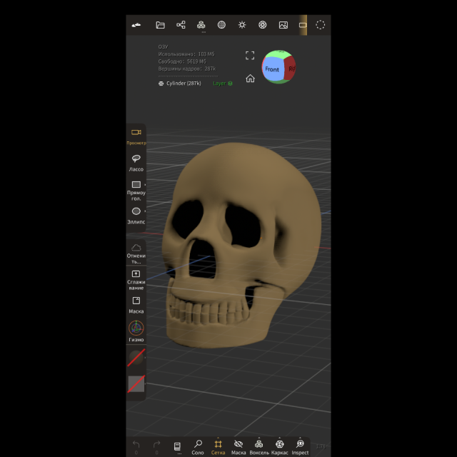 3D-модель "Череп человека"