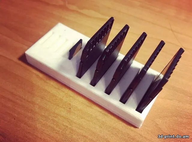 3D-модель "Органайзер для карт SD и micro SD"