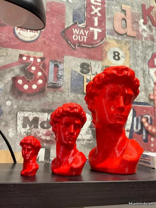 3D-модель "David голова"