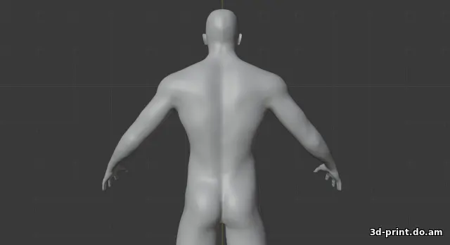 3D-модель "Human male body"