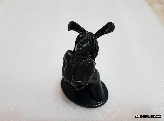 3D-модель "Bunnie Girl" 3D-модель "Bunnie Girl"