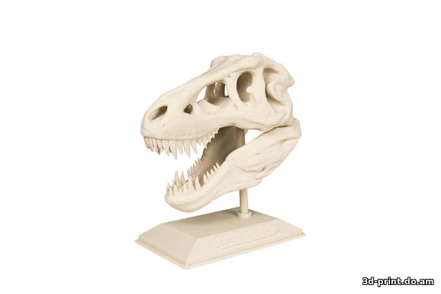 3D-модель "Череп динозавра T-Rex"