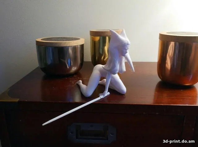 3D-модель "Star Wars - Ahsoka Tano"