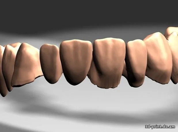 3D-модель "Зубы 3д"