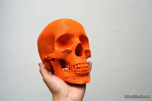3D-модель "Бедный йорик"
