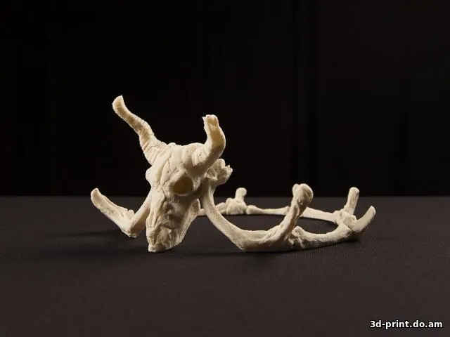 3D-модель "Корона - кости"