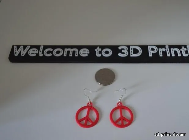 3D-модель "Сережки Пацифика"