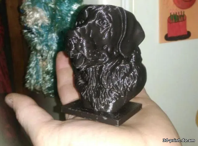 3D-модель "Бюст лабрадора"