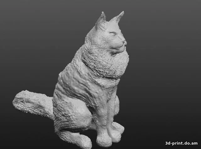 3D-модель "Кот породы Мейн-кун"