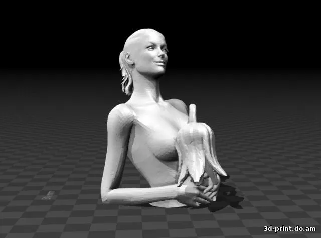 3D-модель "Flower gilr bust / Девушка с цветком"
