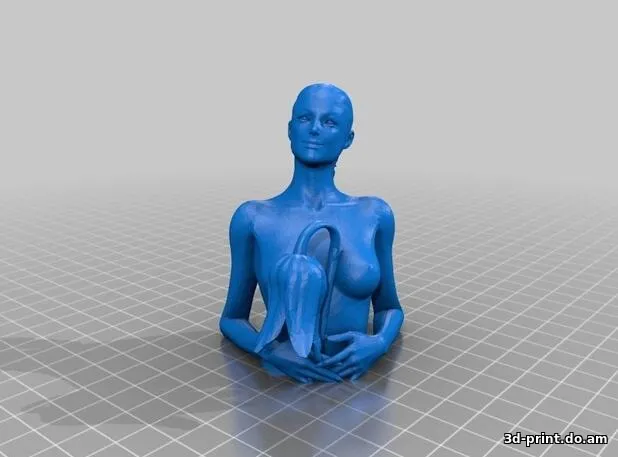 3D-модель "Flower gilr bust / Девушка с цветком"