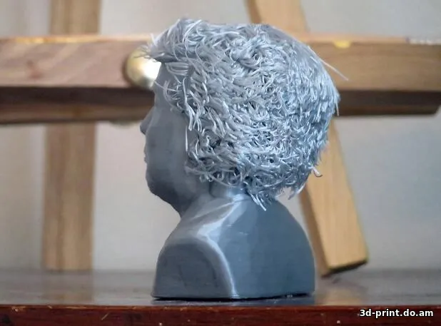 3D-модель "Portrait bust of Donald Trump" 3D-модель "Portrait bust of Donald Trump"