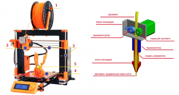 Как работает 3D-принтер — просто о сложном